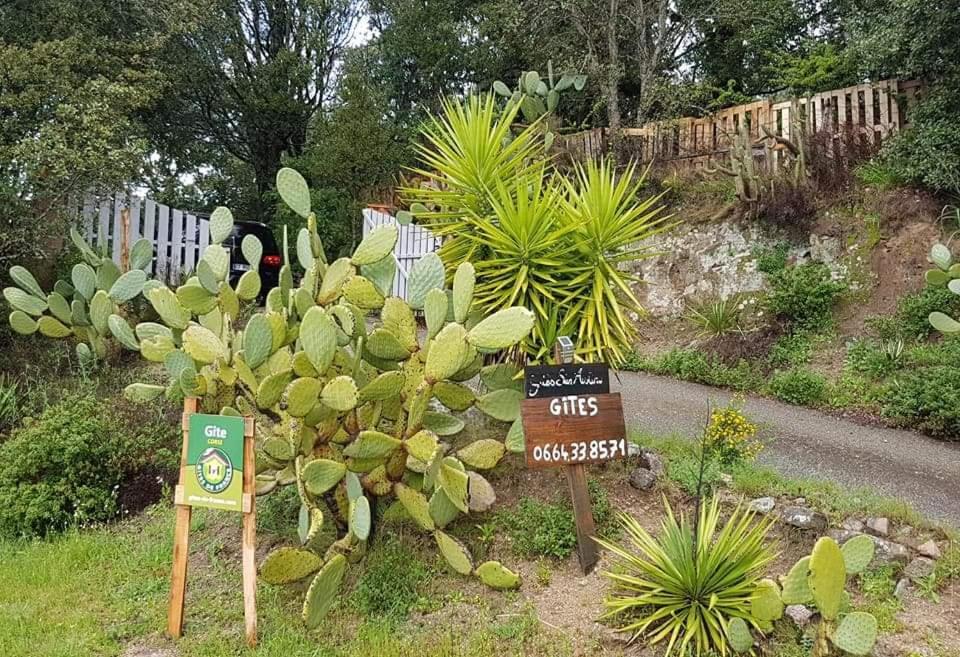 Gites San Austinu Petreto-Bicchisano Luaran gambar